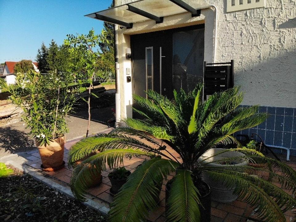 Sonnige 3 Zimmer Wohnung Mit Schoenem Balkon Im Gruenen Ройтлинген Экстерьер фото